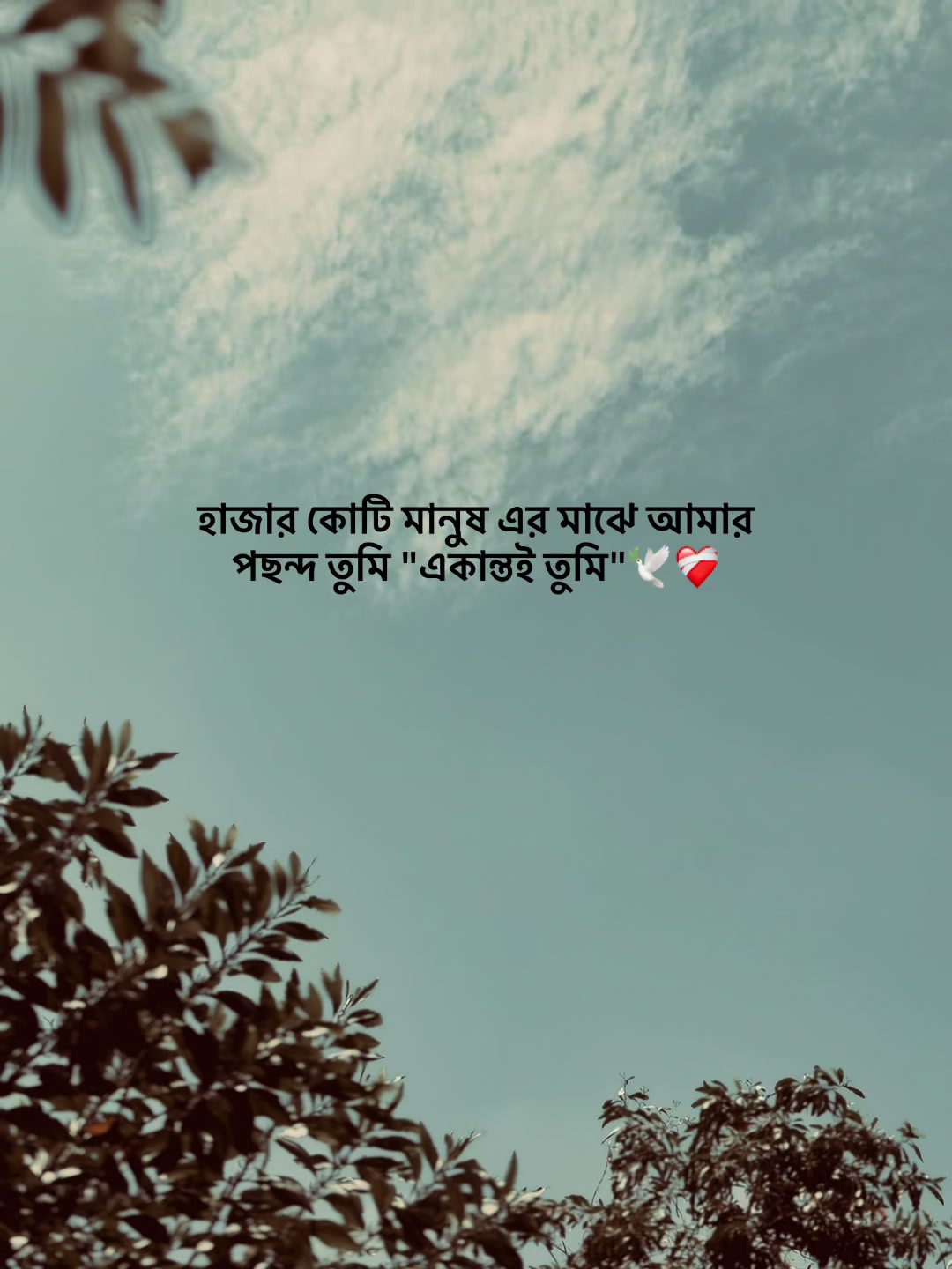 @आईएएन ┊🐥