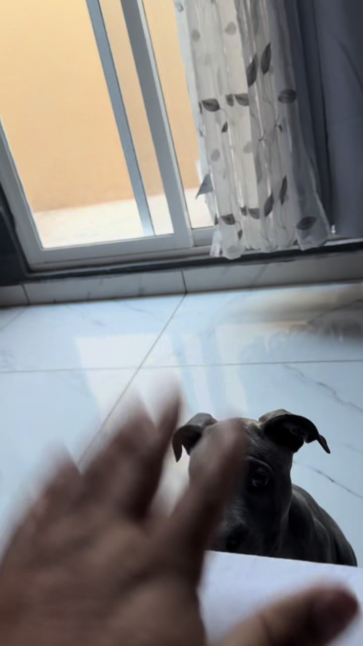 @guillermoteodoro84