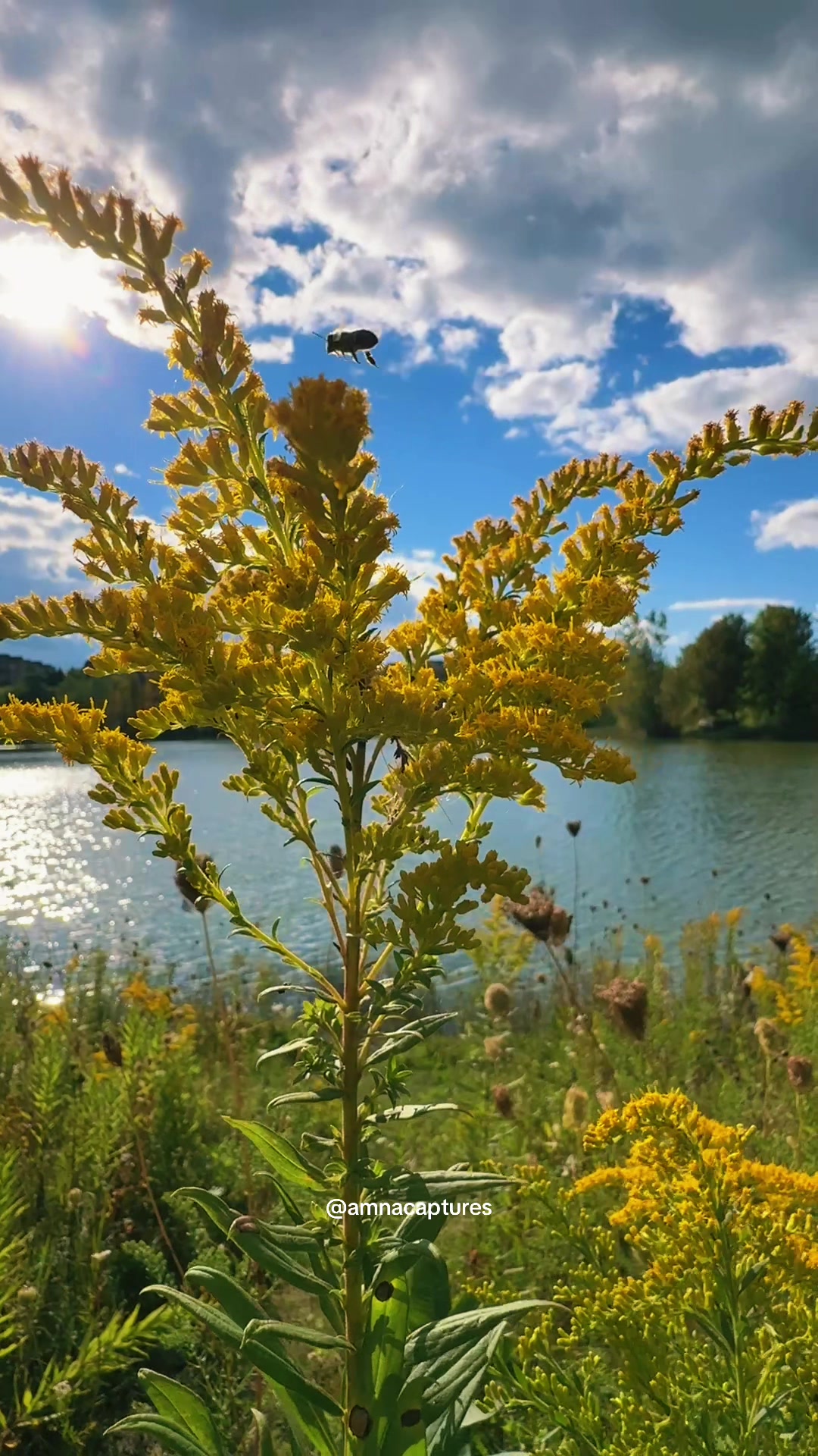 @Nature lover 🇨🇦