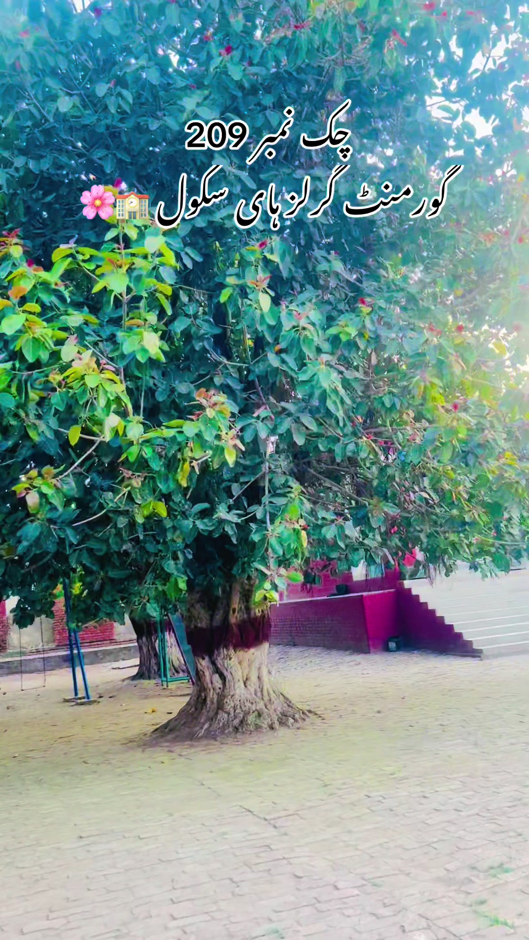 @merapind209