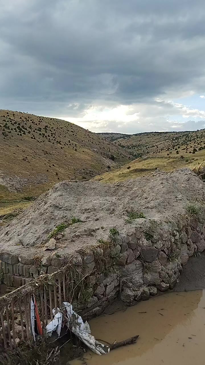 @mevlüt