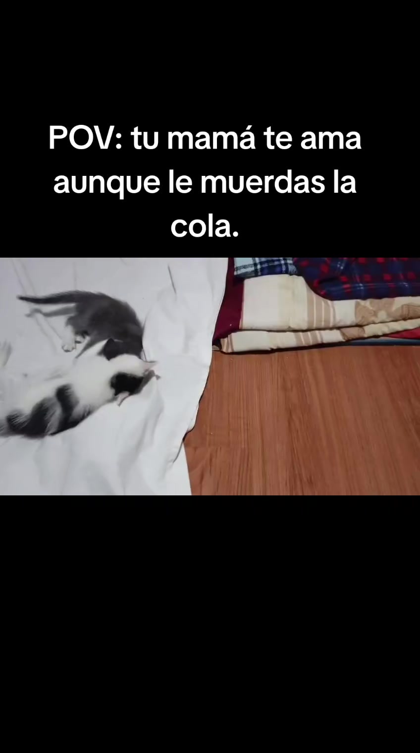 @Merceditas