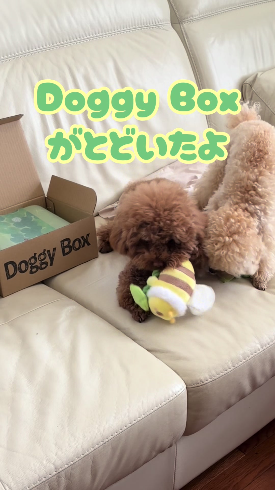 @るるもも