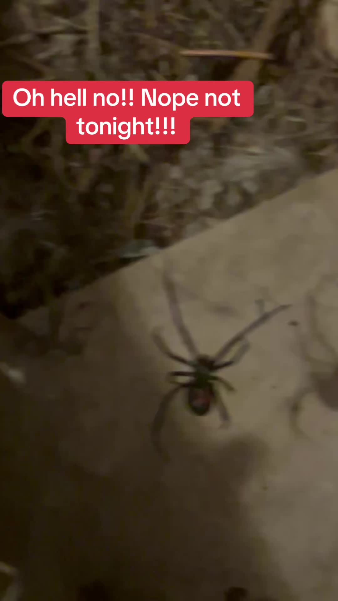 @bl0odmo0n40