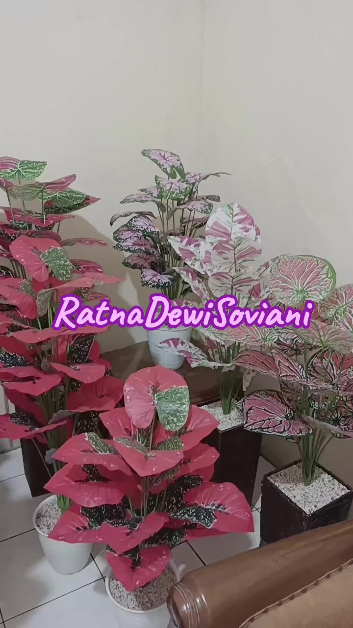 @RatnaDewiSoviani