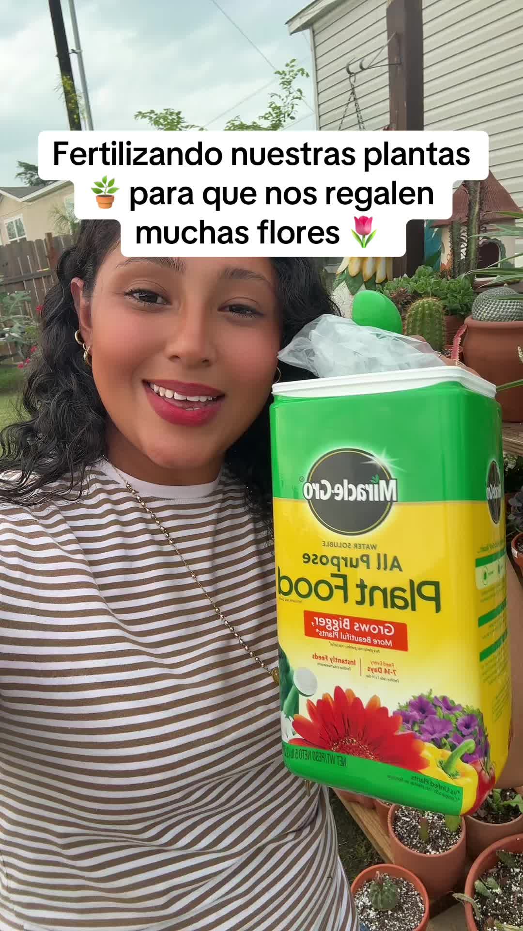 @Garden roses norma 🌹🌺🌷