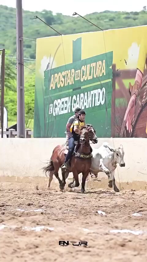 @vaqueiras