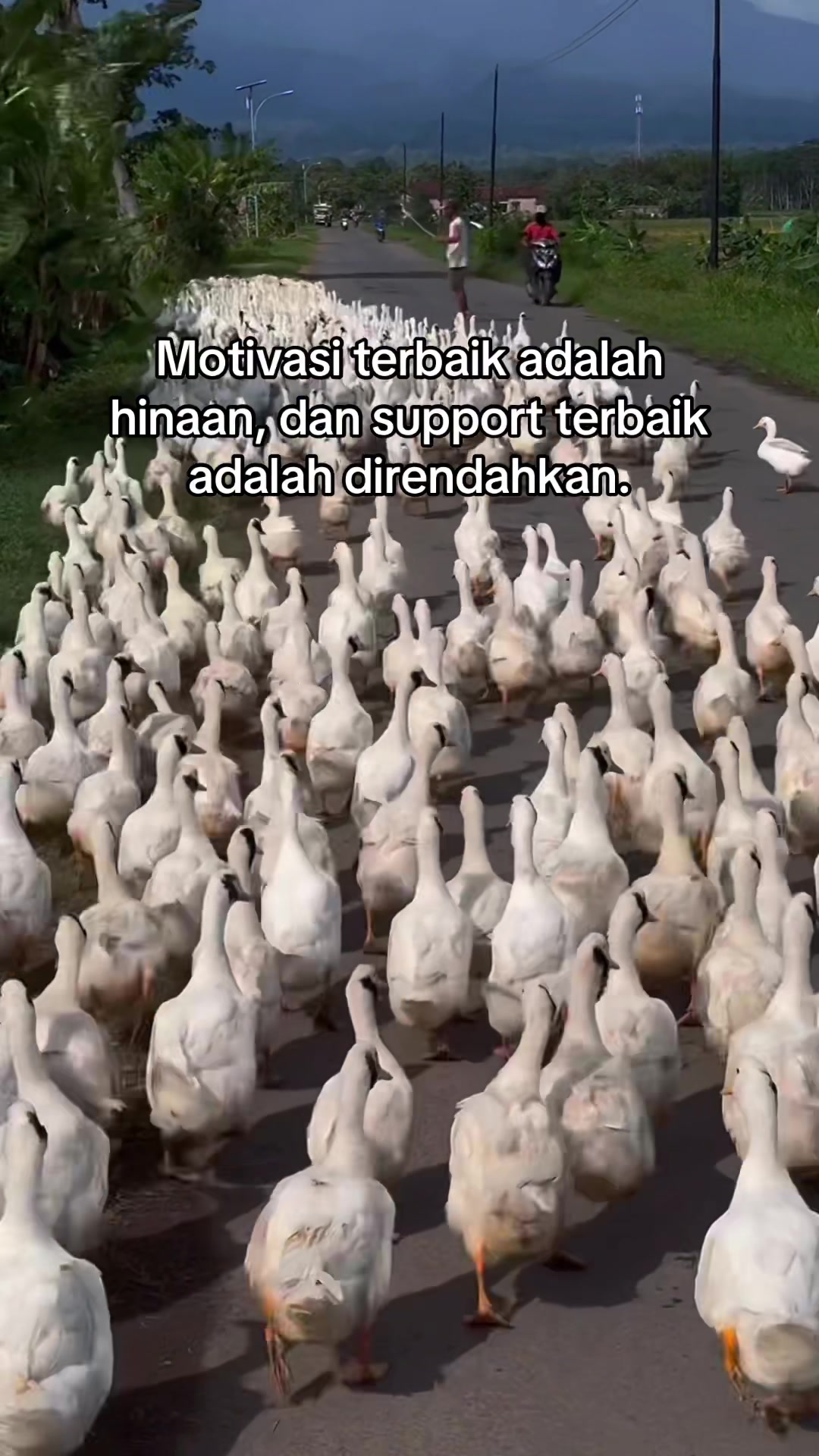 @PT BAGUS JAYA FARM