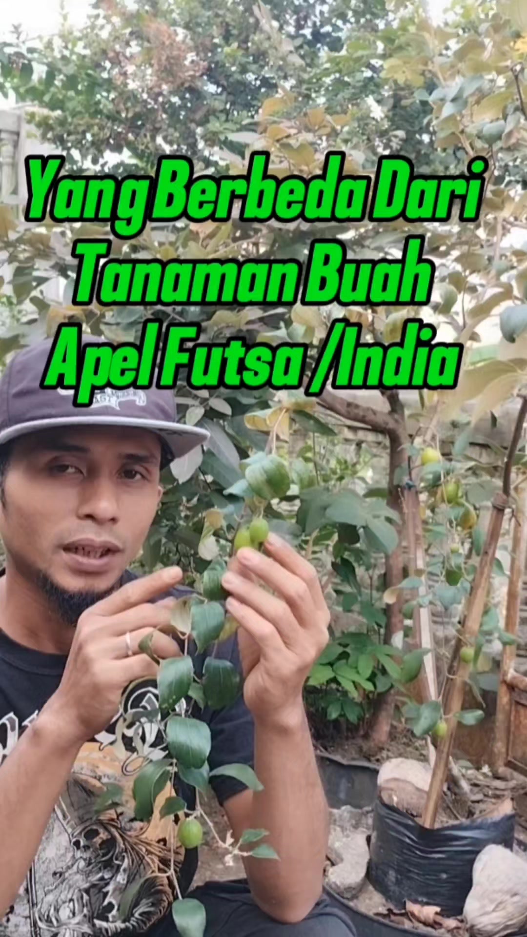 @Bukit Farming