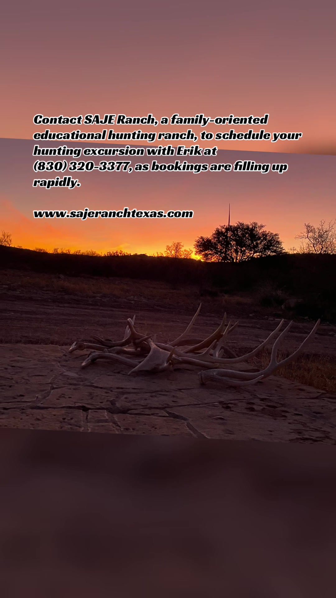 @SAJERanch