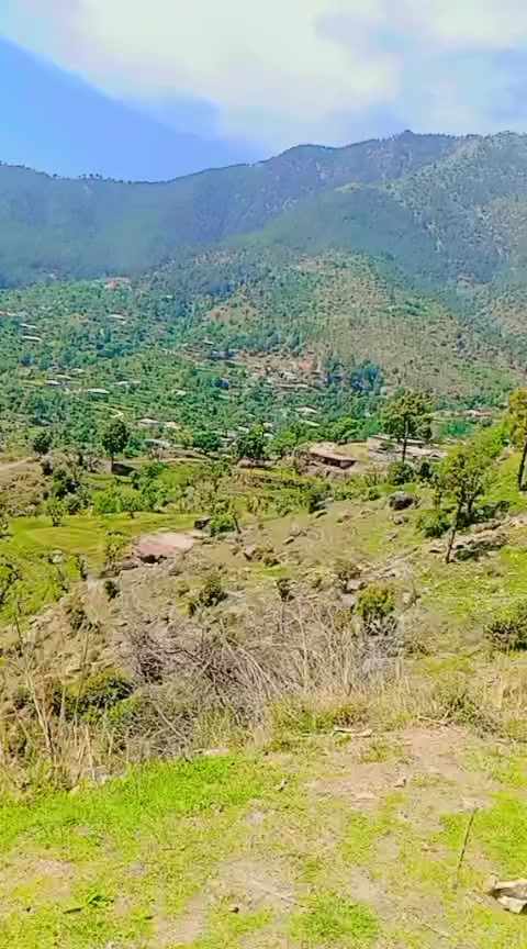 @Murshad ki jan