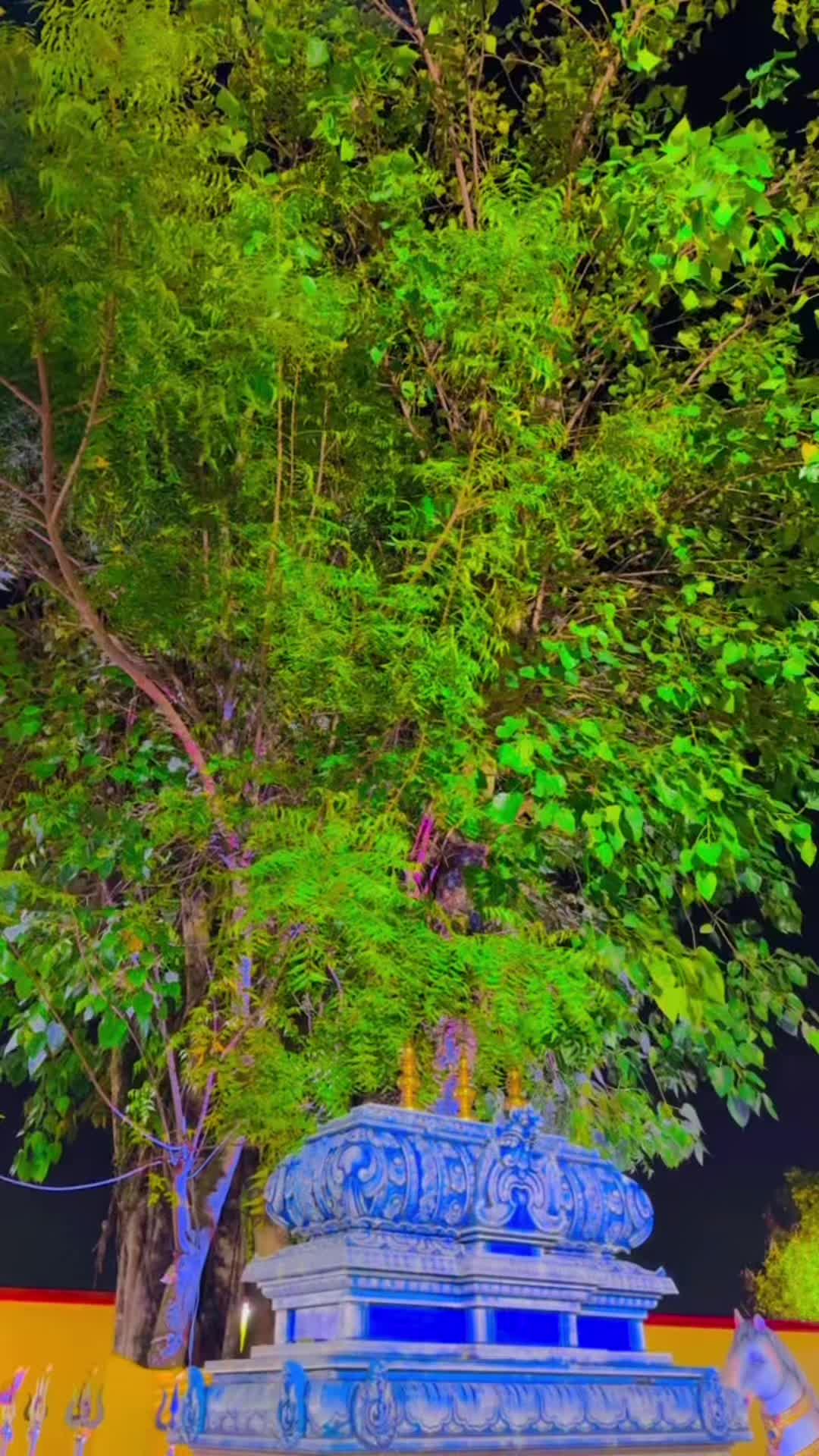 @🍒𝕳𝖆𝖘𝖓y🍒