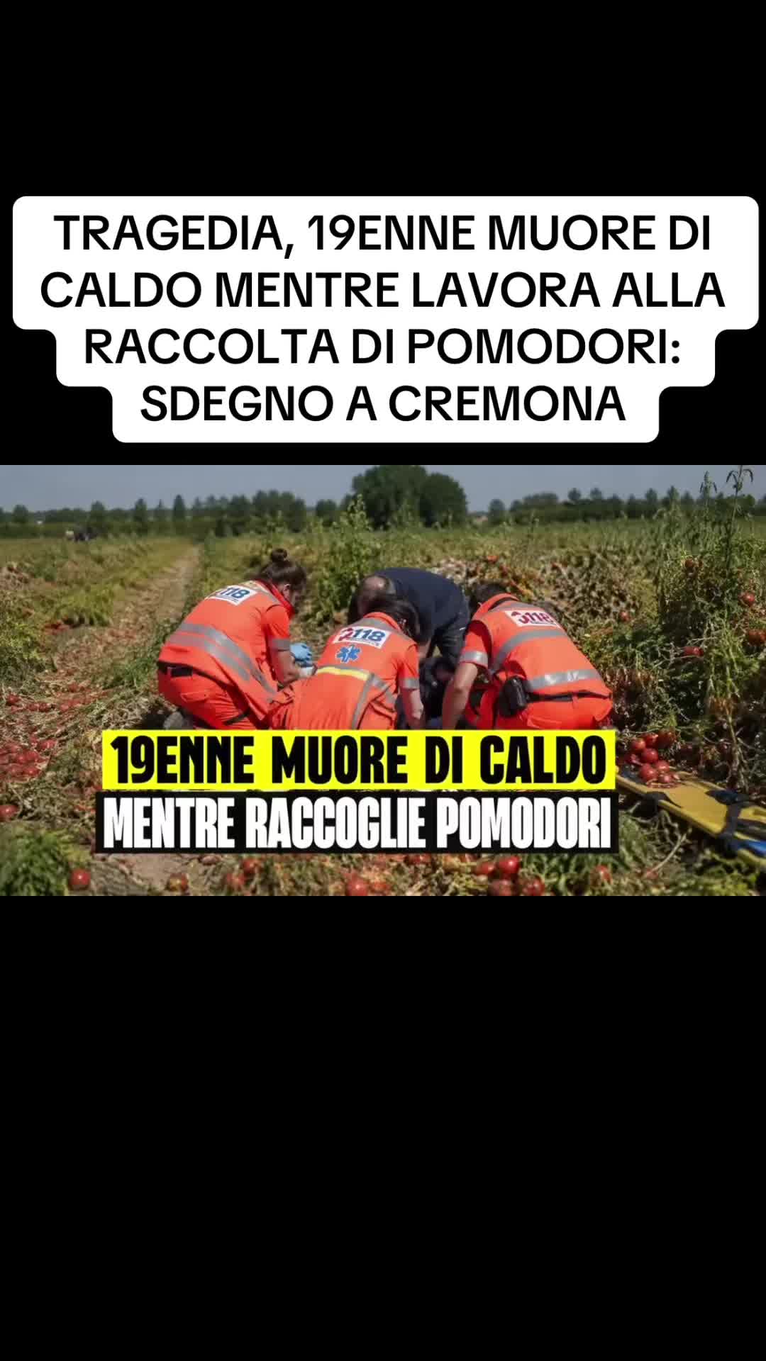 @flashtv_notizie