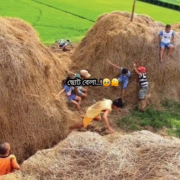 @🐸 আদিম কালের আফা 🐸