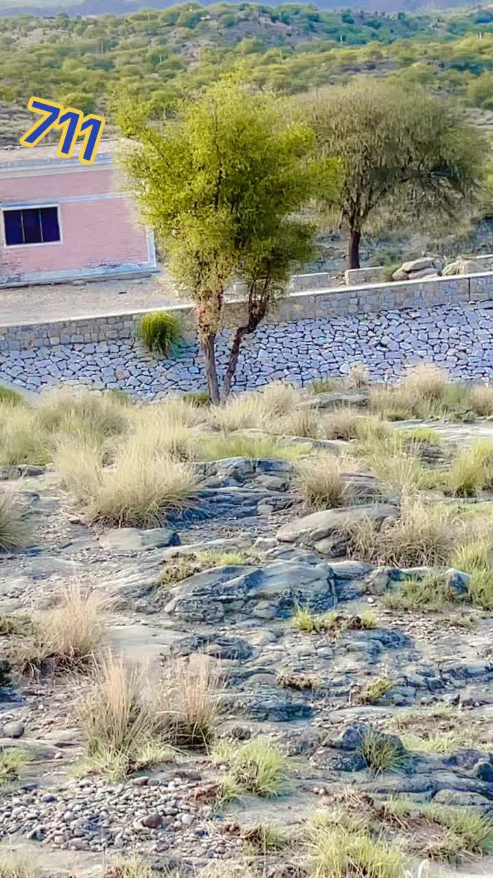 @karak302