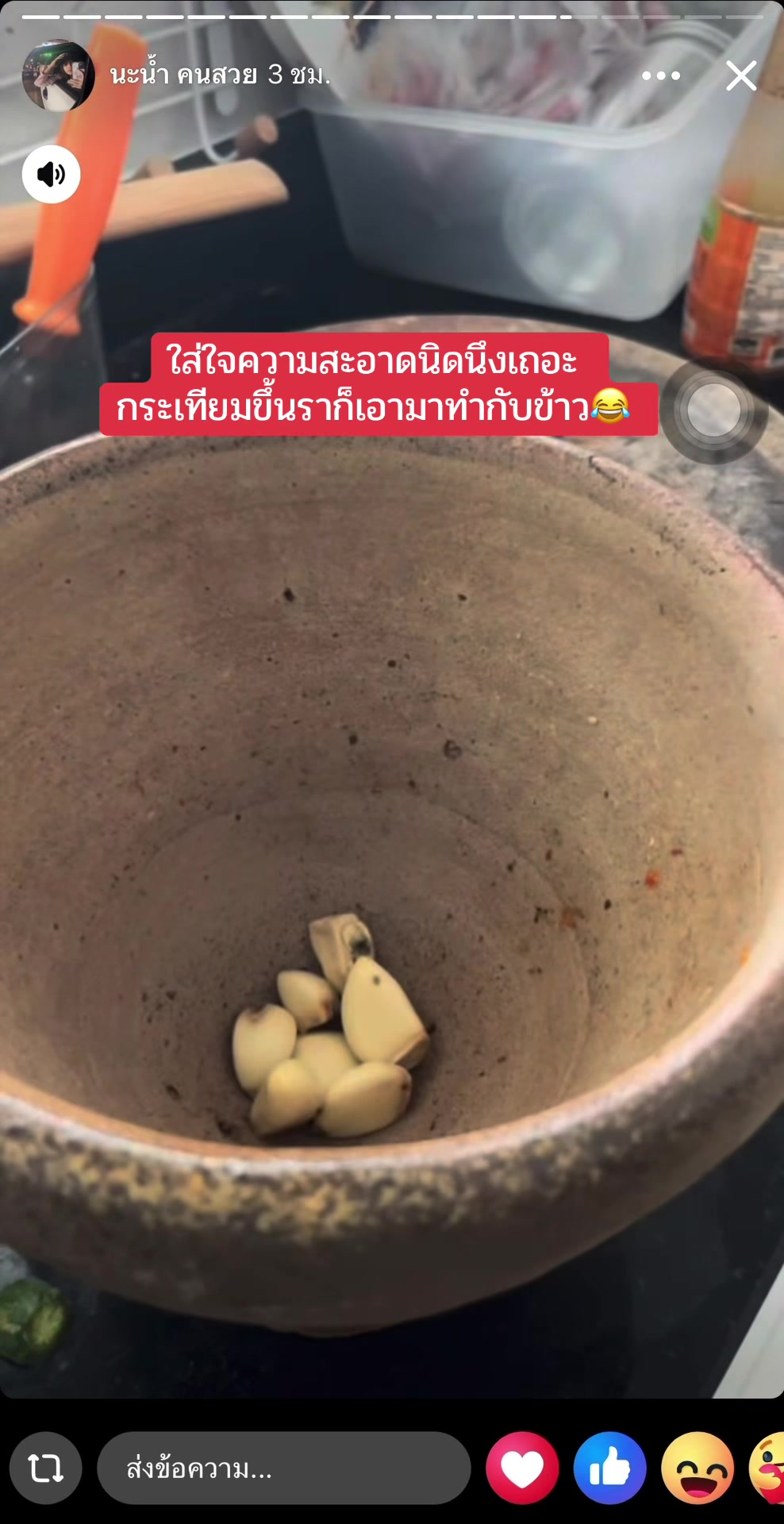 @แมวหัวเห็ด🍄🍄&zwj;🟫
