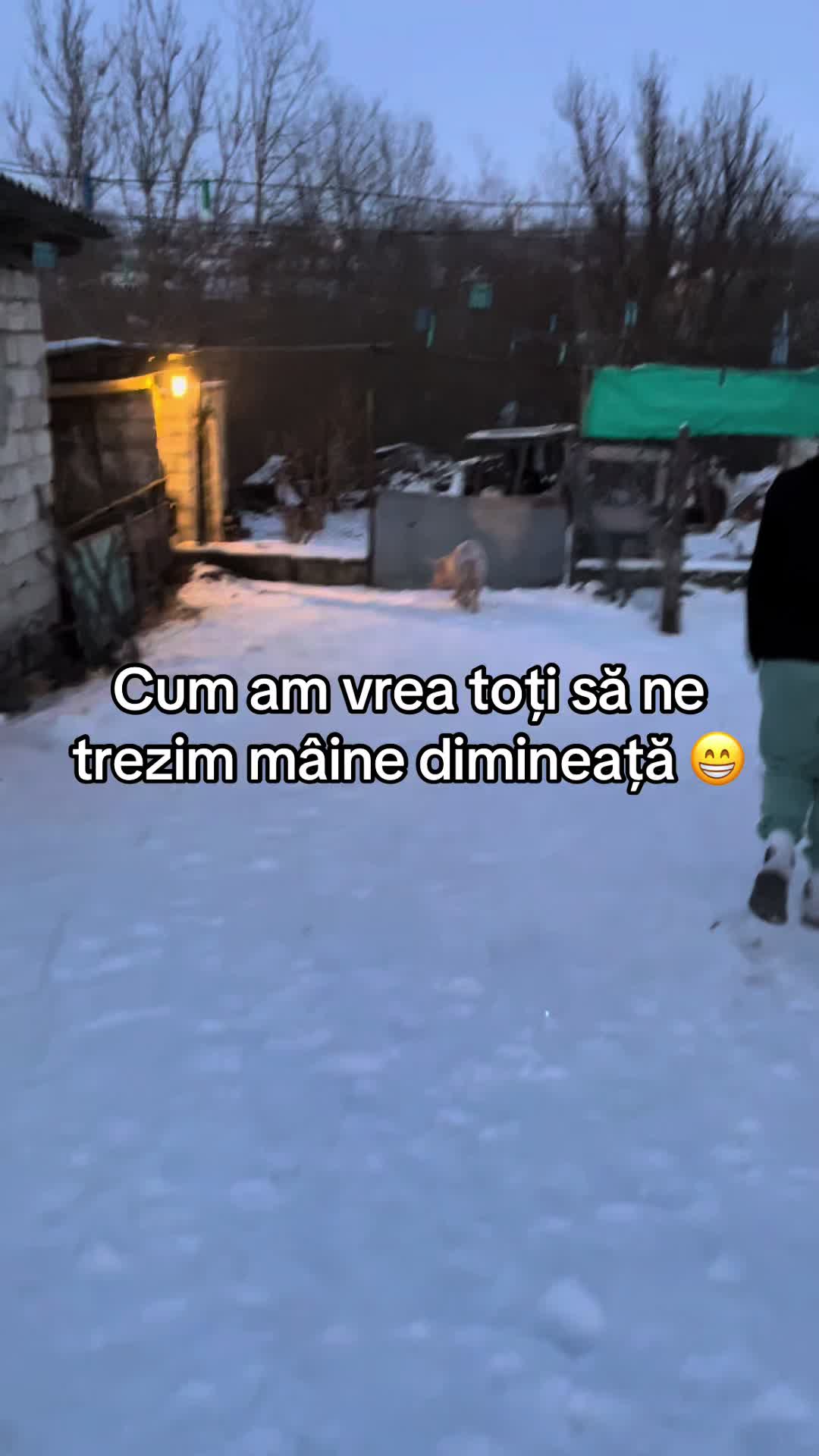 @Damy🦅🐊
