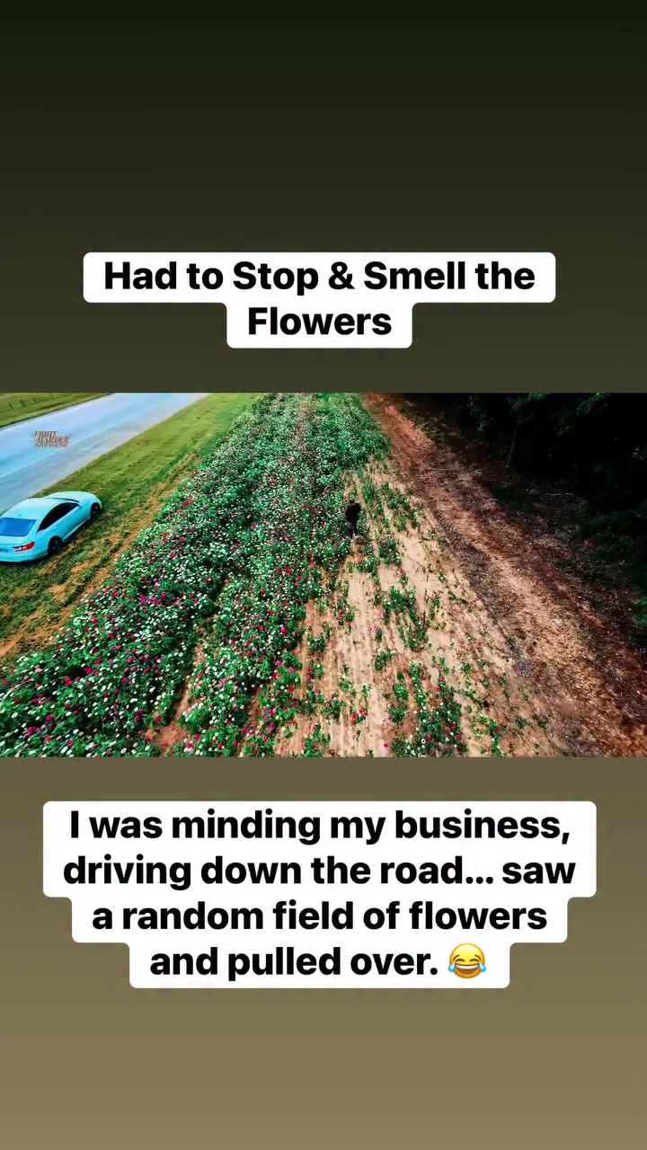 @dontaye