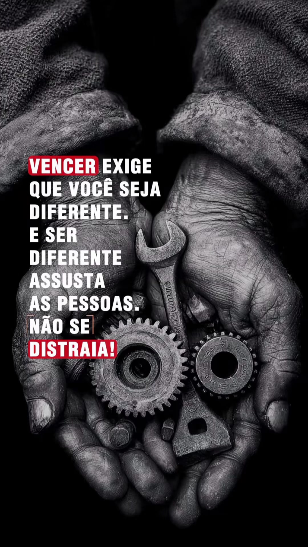 @Alex Alves 015