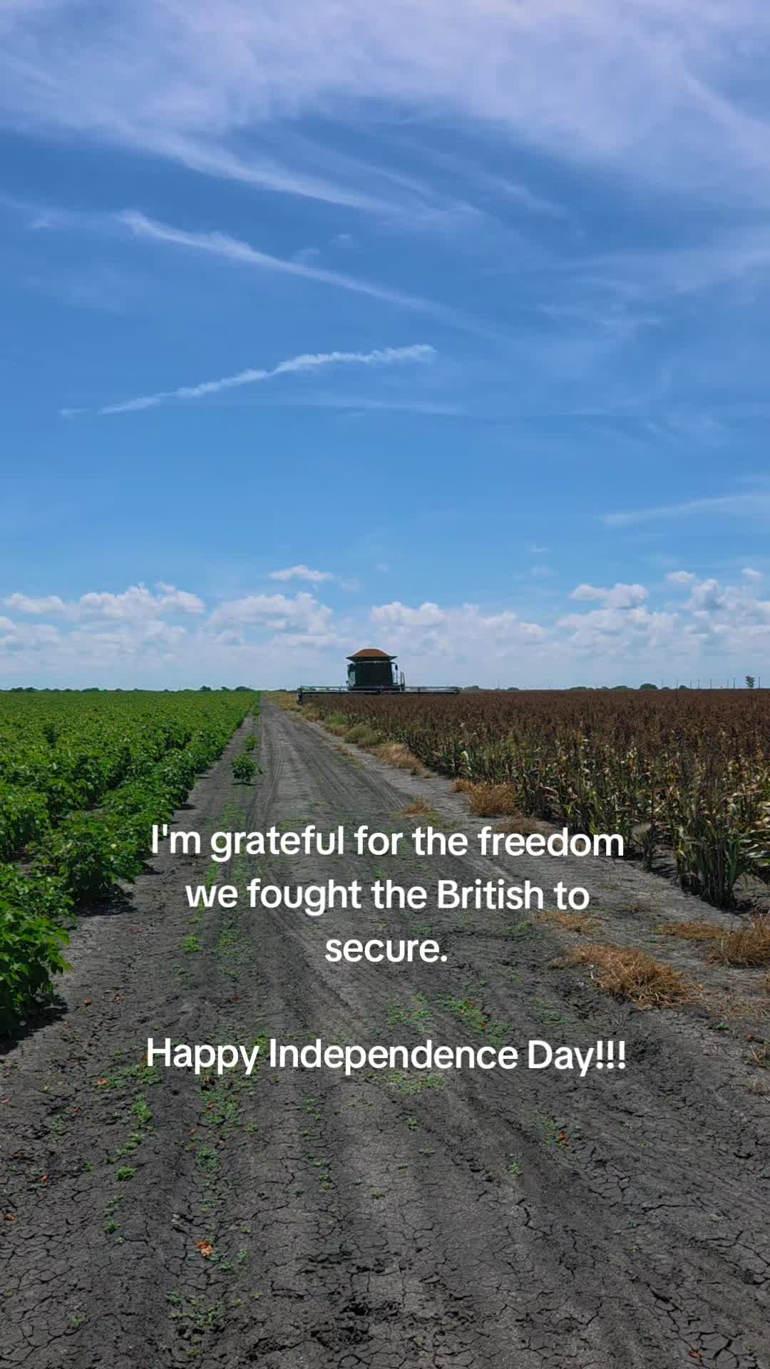 @David CottonFarmer 🚜