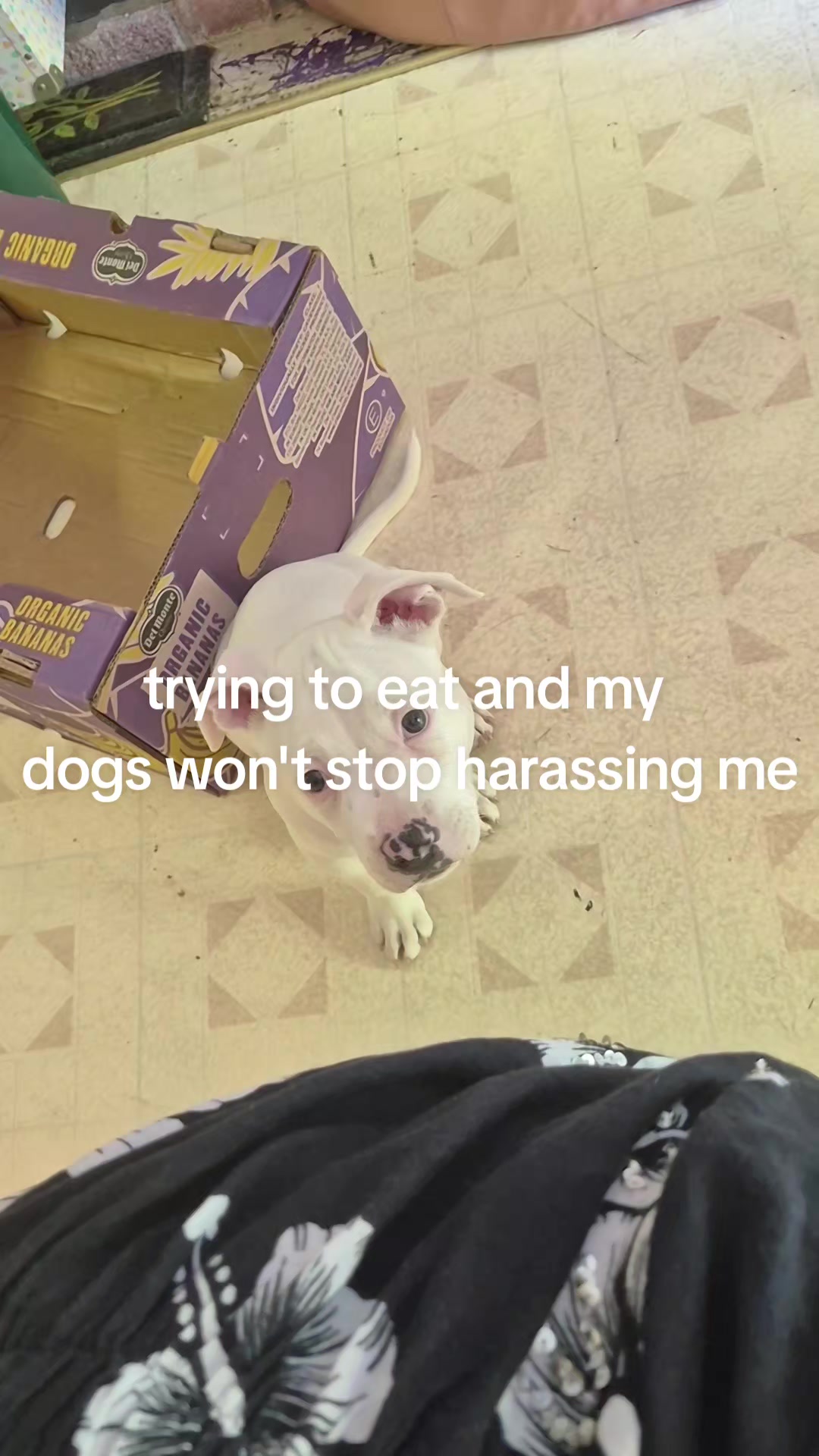 @(￣ー￣)