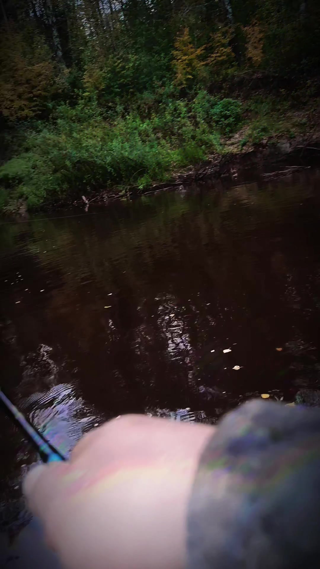 @Александр