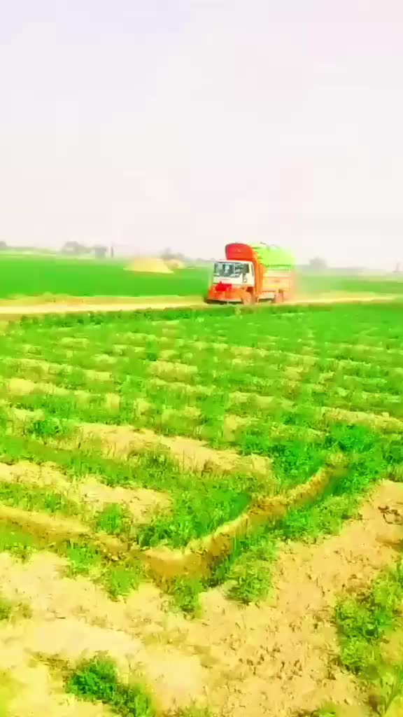 @Asif jakhrani🧿