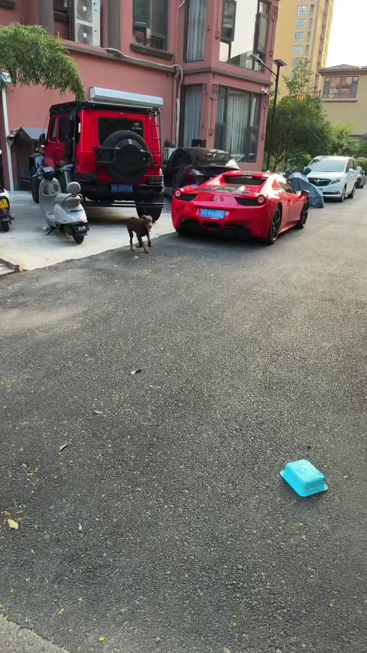 @🇲🇽MAYOREO QIHUO MÉXICO🇲🇽