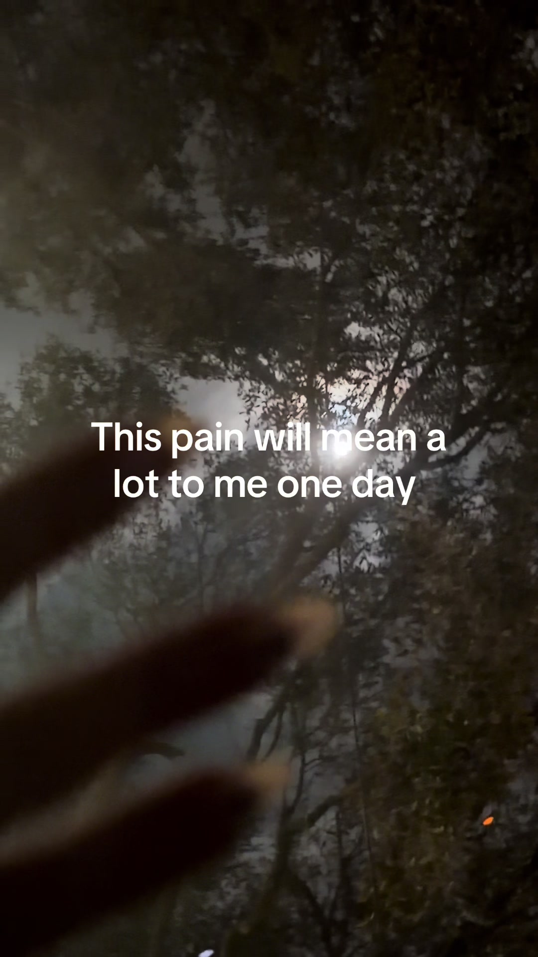@bmr