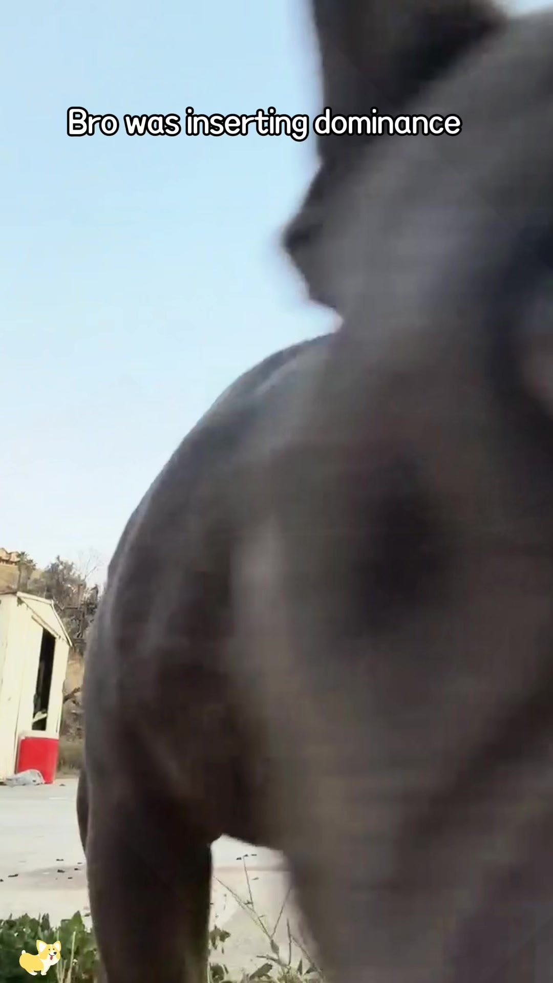 @SneakyFails