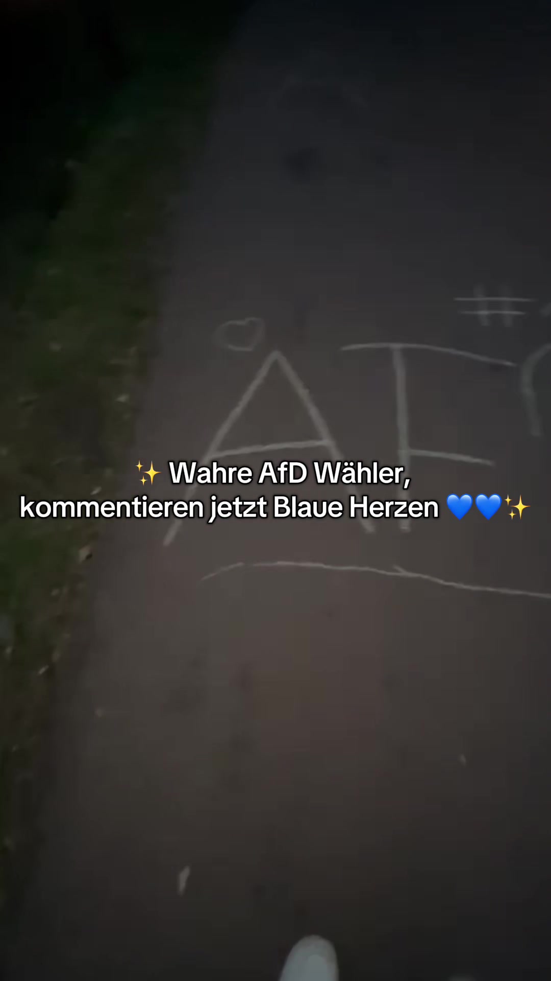 @Alice_Fan