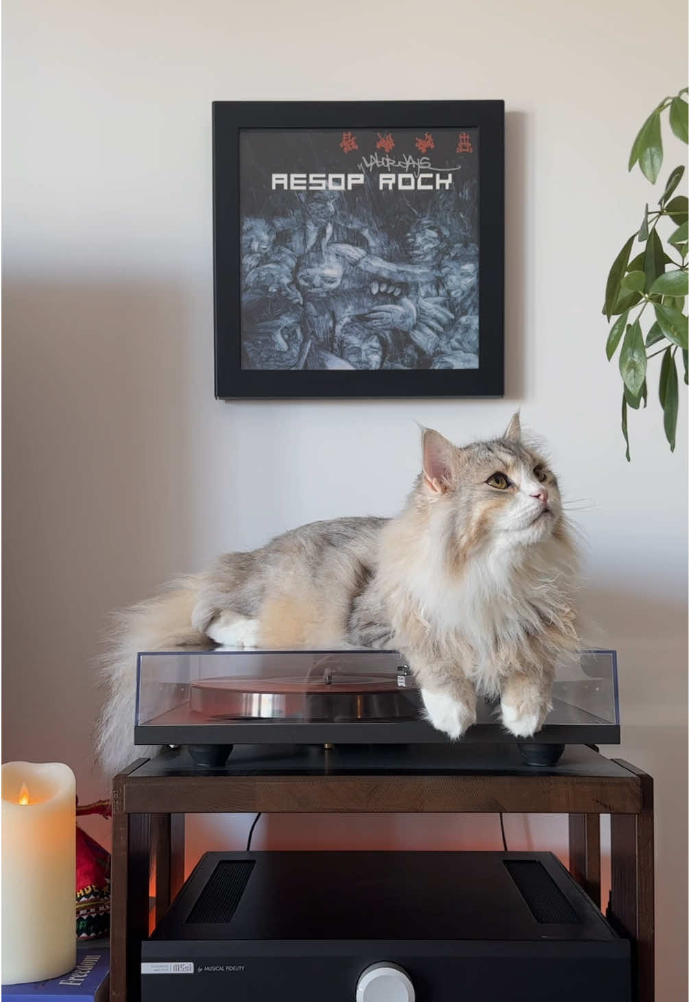@Leon The Vinyl Cat