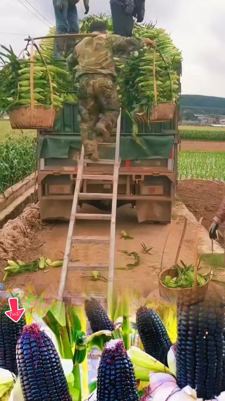 @tới đồ dùng