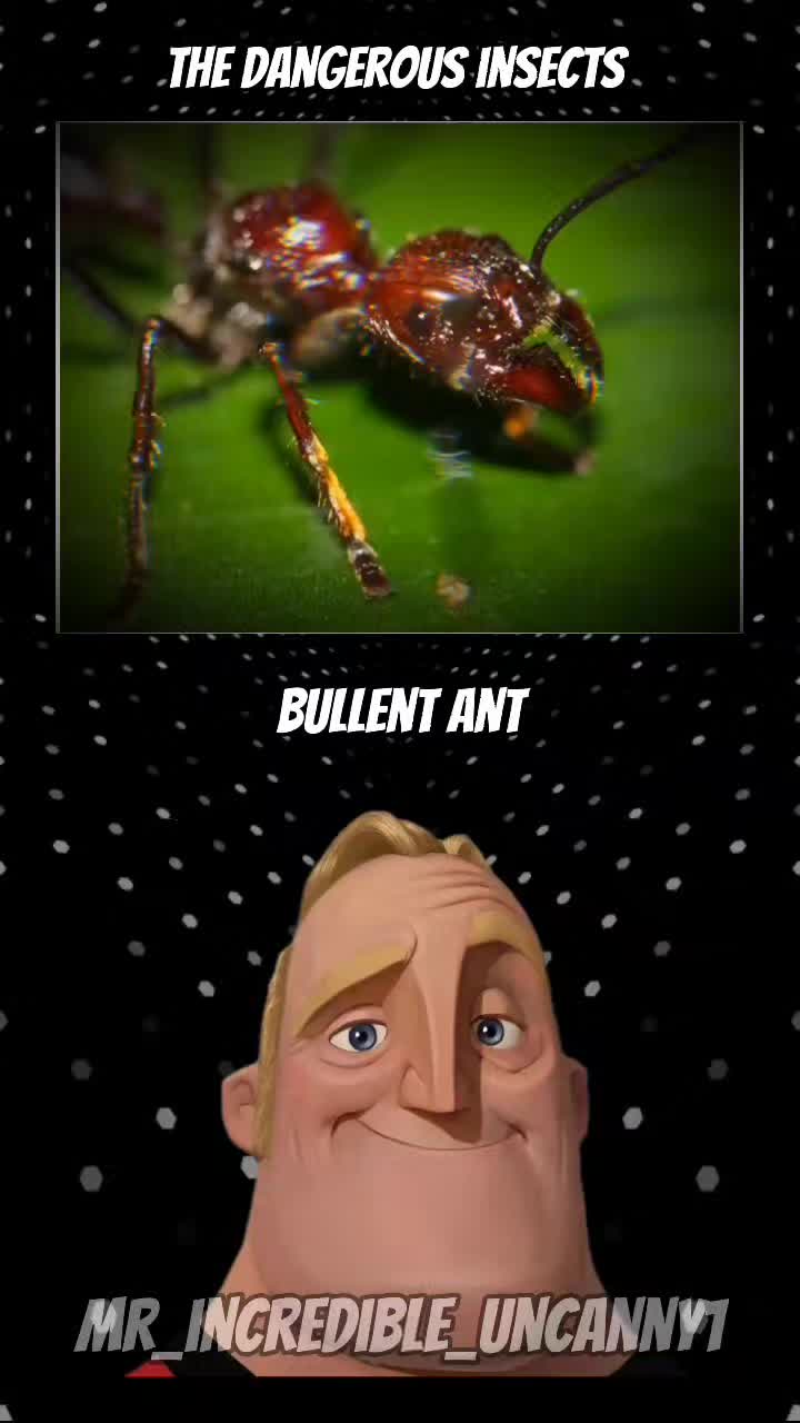 @Mr. Incredible