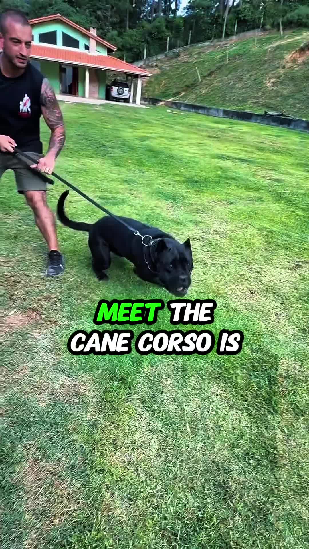 @animolfacts