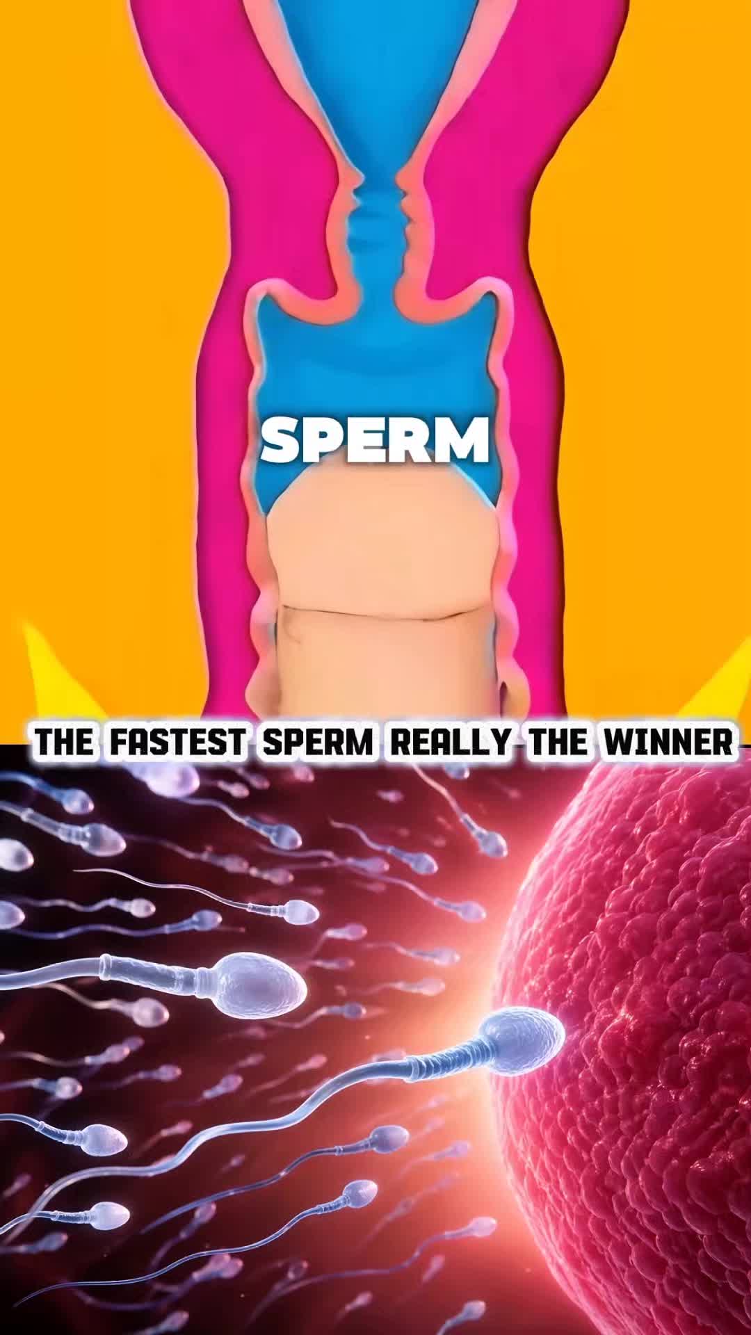 @BBC Health