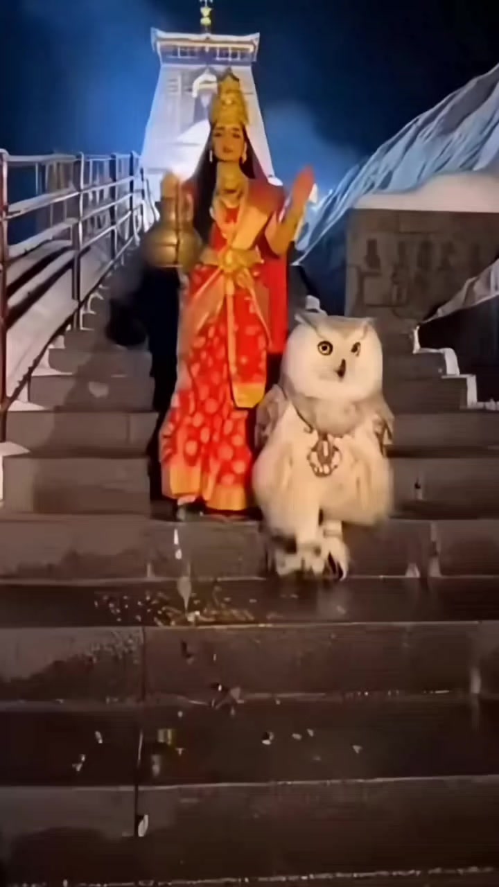 @🚩 Jay Mata di 🚩🙏🔱