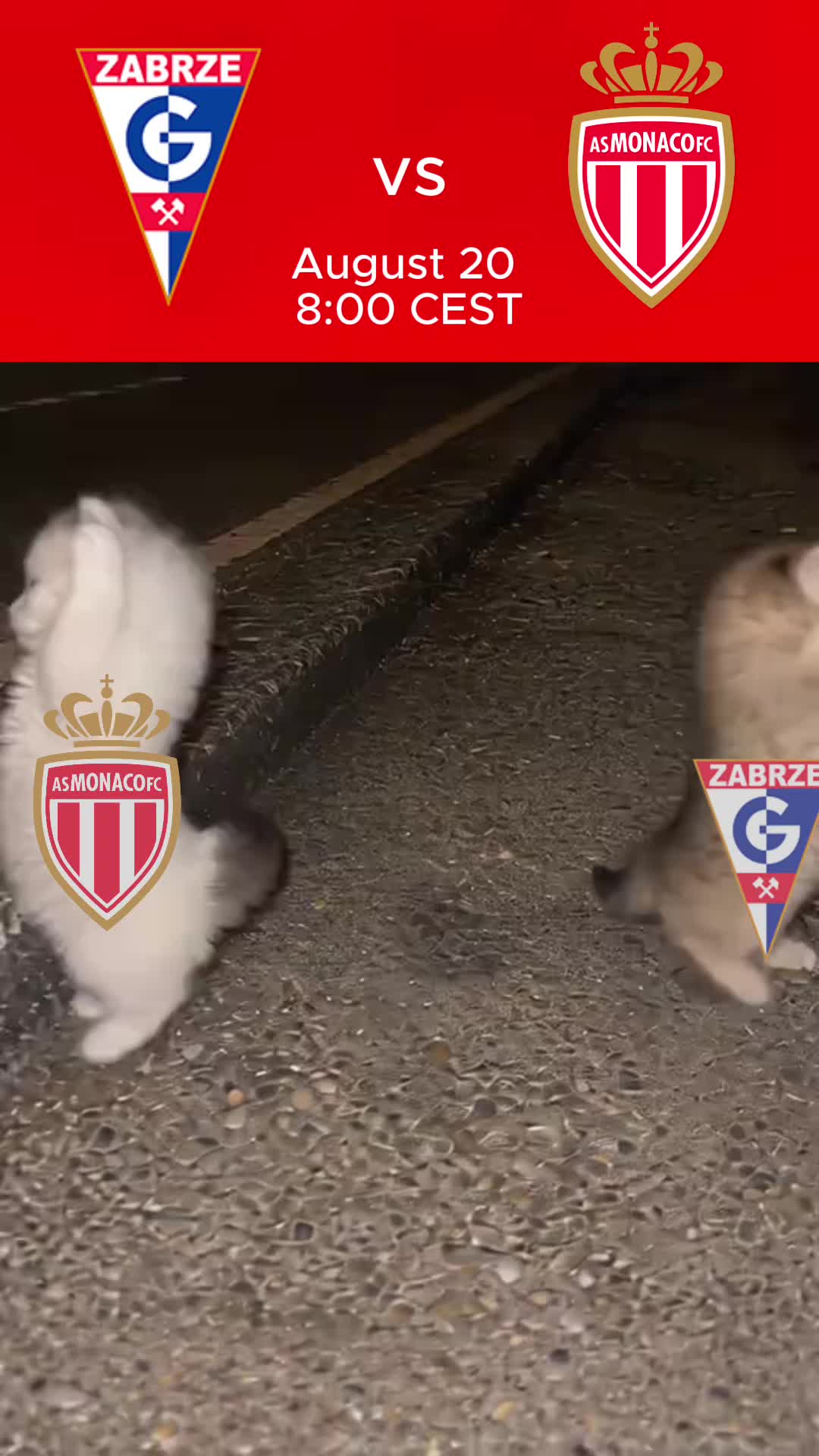 @AS Monaco