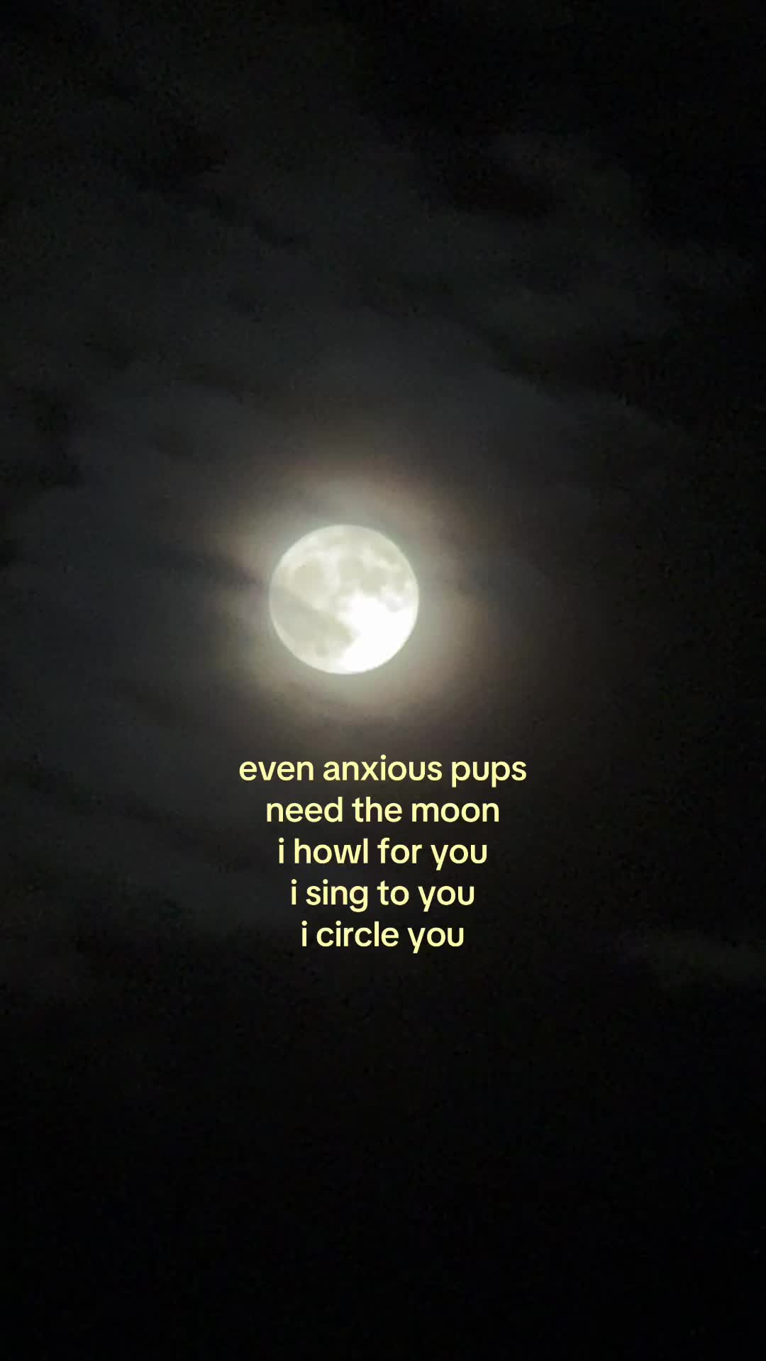 @meg ❁ 🐉🗡️📚