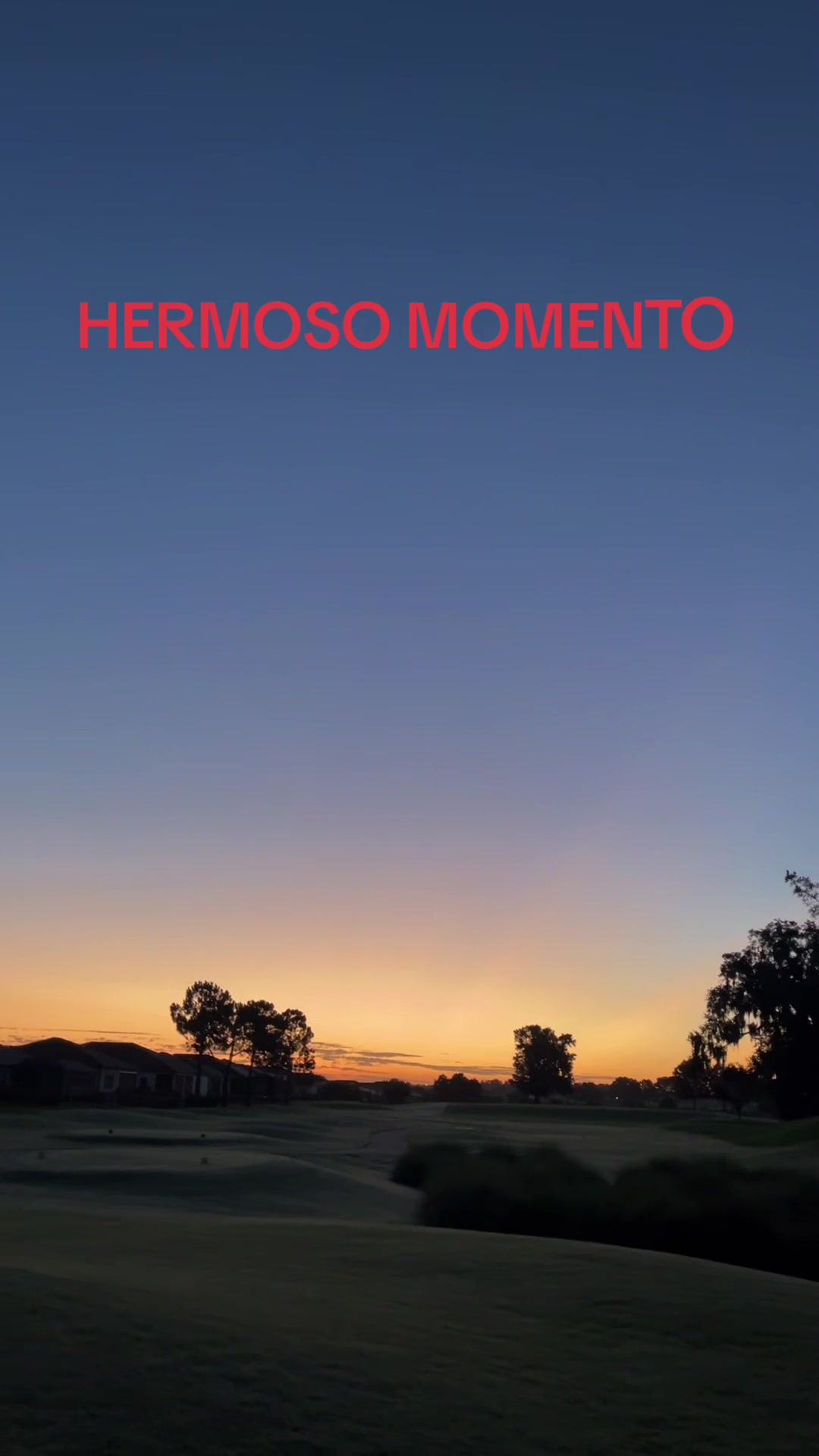 @masterzapata7dan