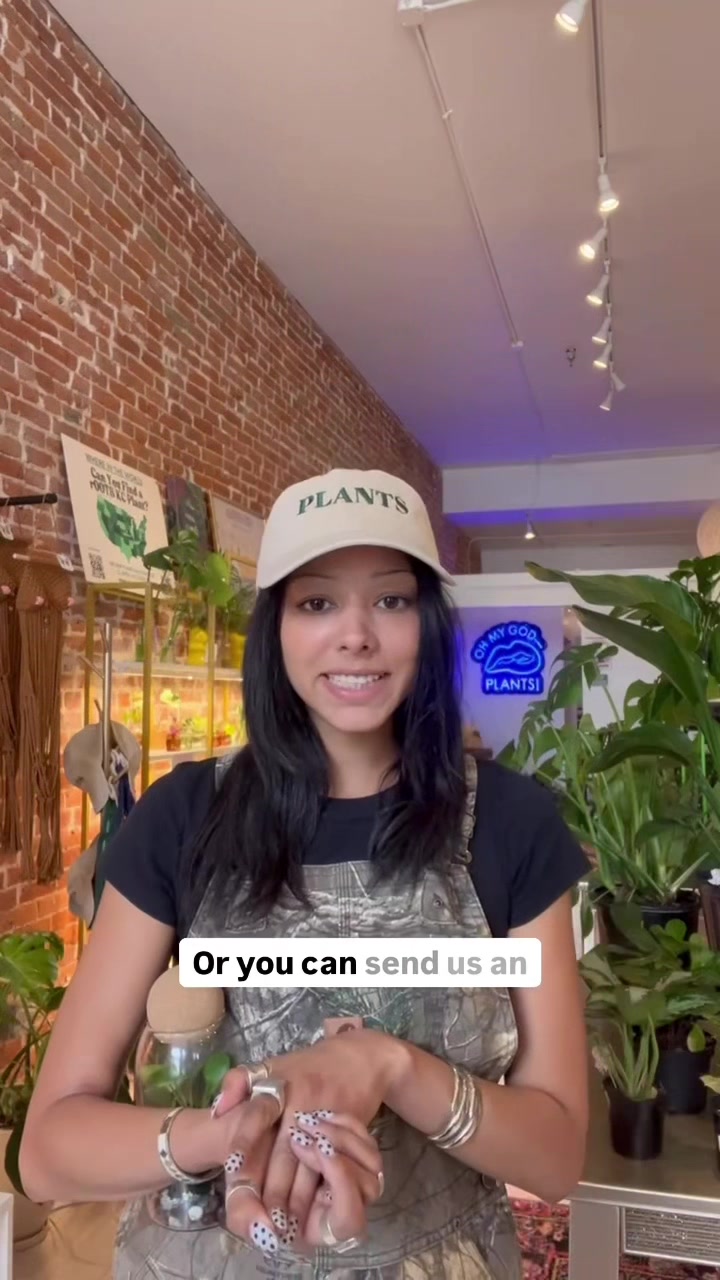 @Rootskc