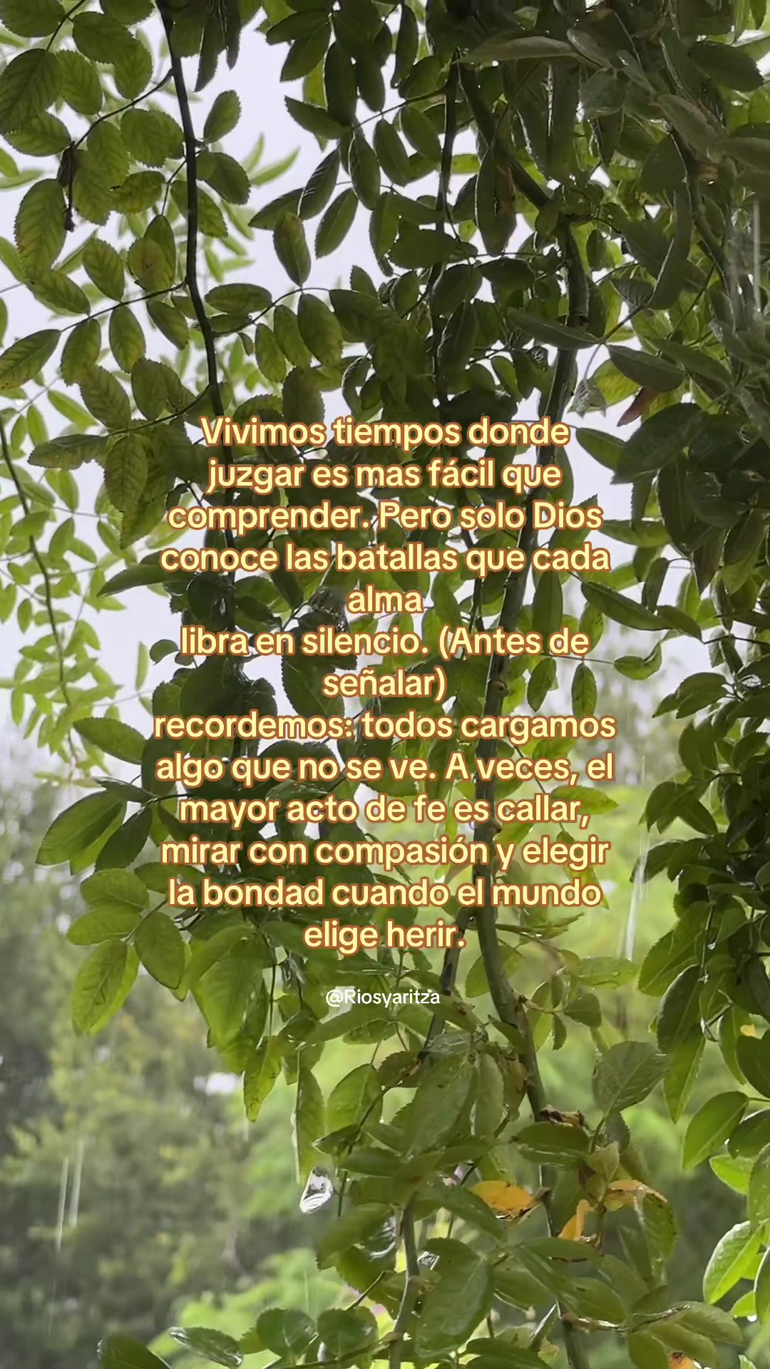 @Riosyaritza