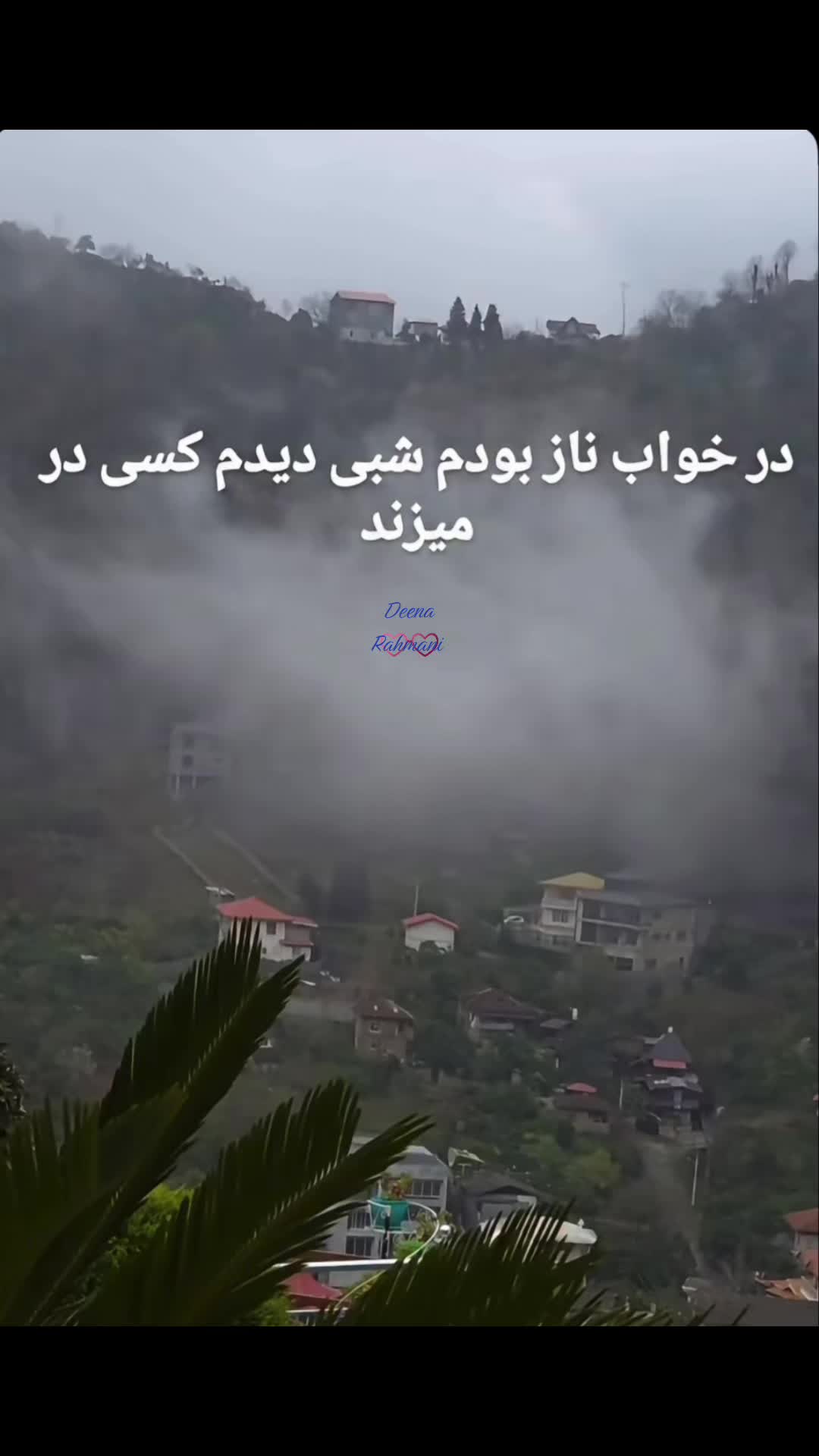 @Deena Rahmani