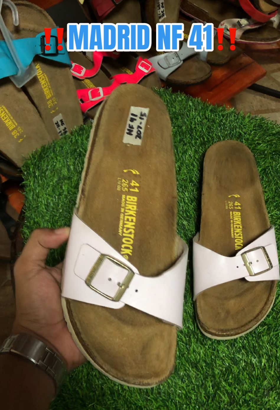@DAILY BIRKS