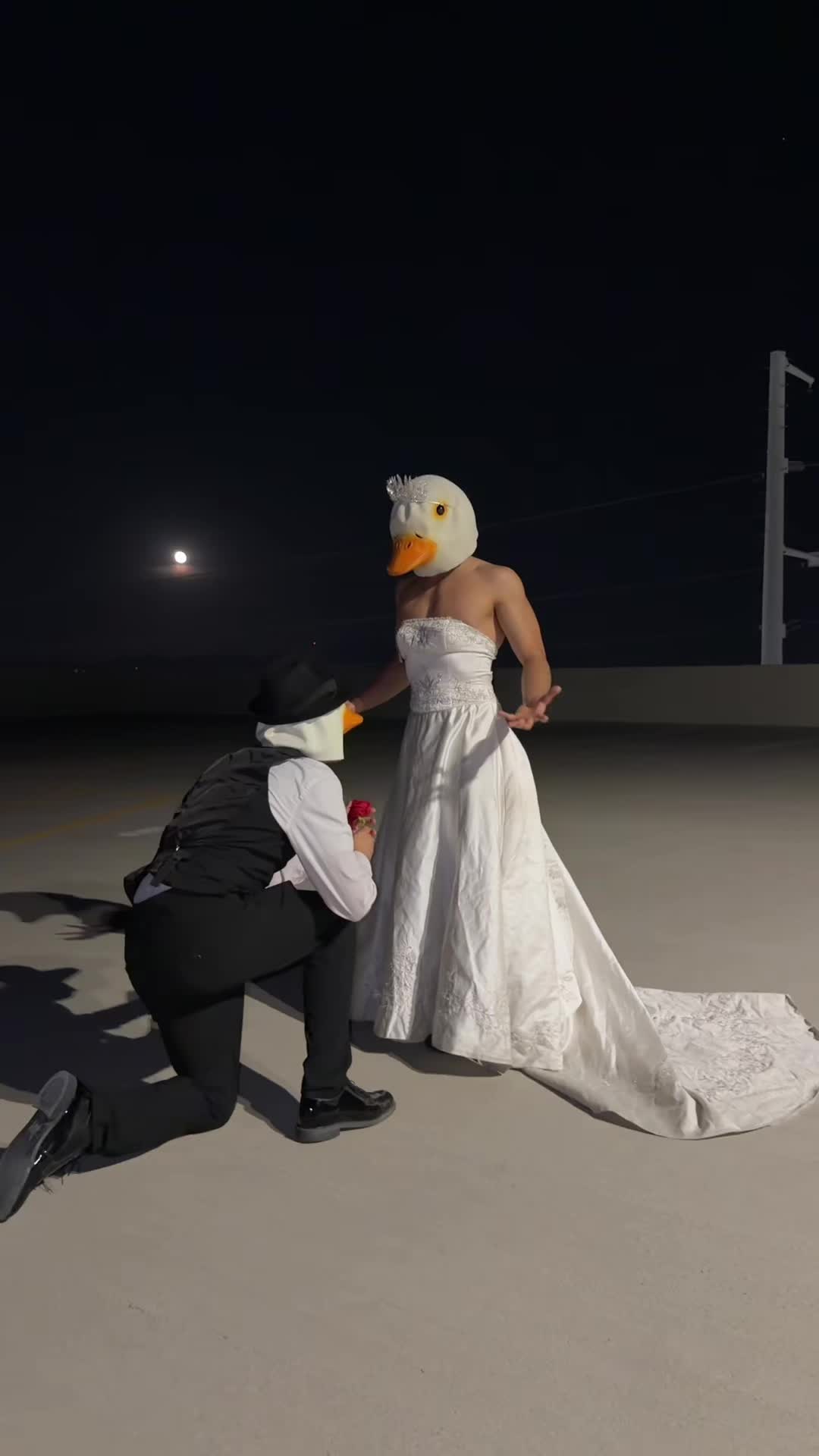 @Dannyduck
