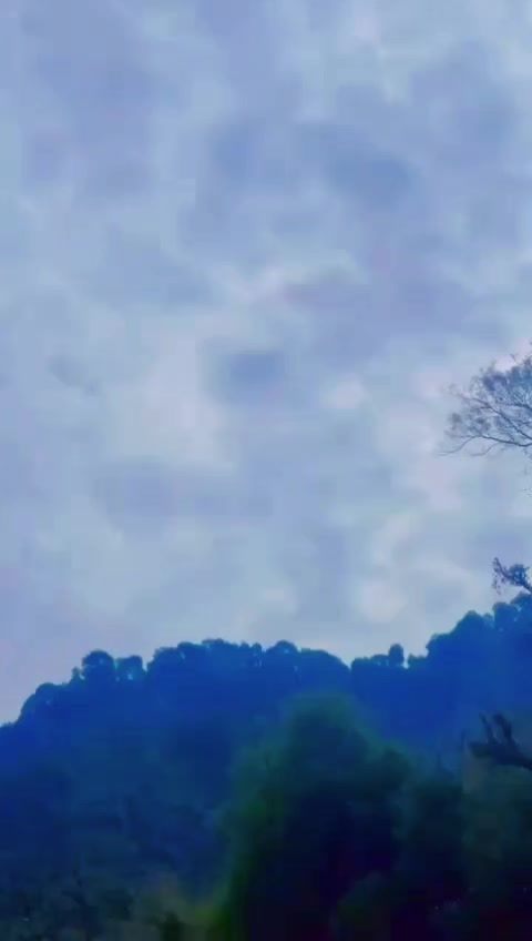 @Saad Khan