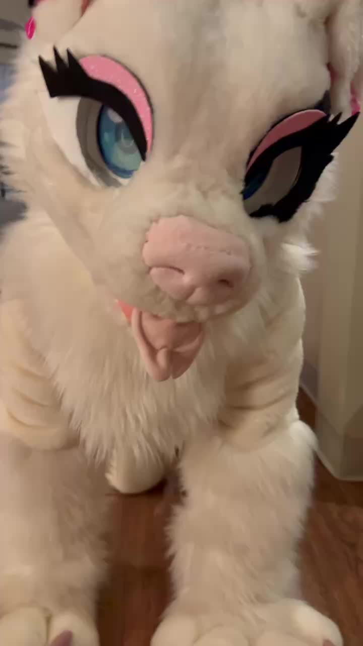 @fidget_batty🦇