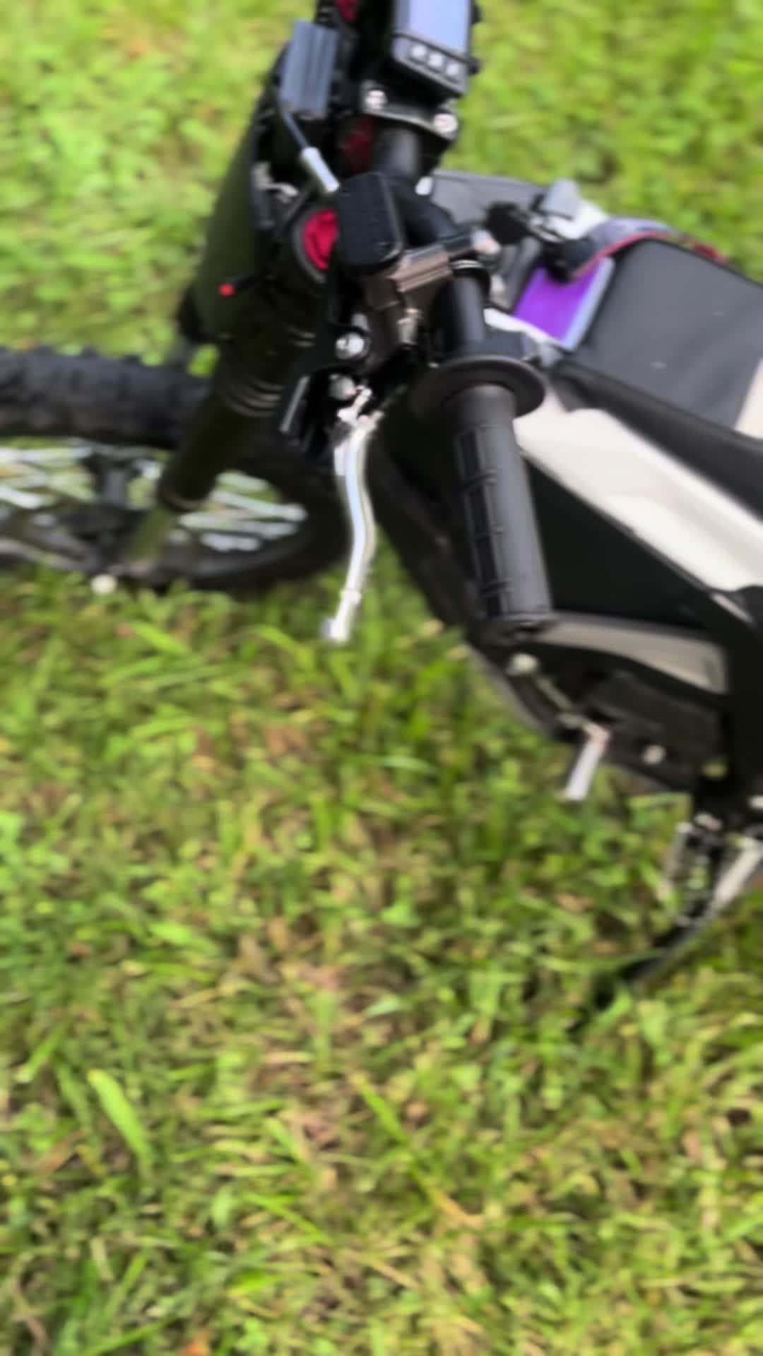 @Amari. Ridez:/
