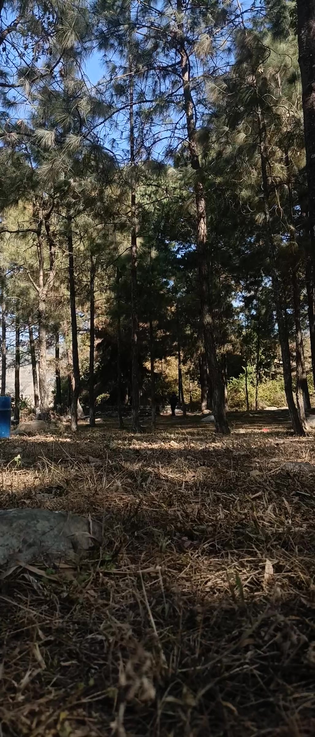 @Nabeen Khatri