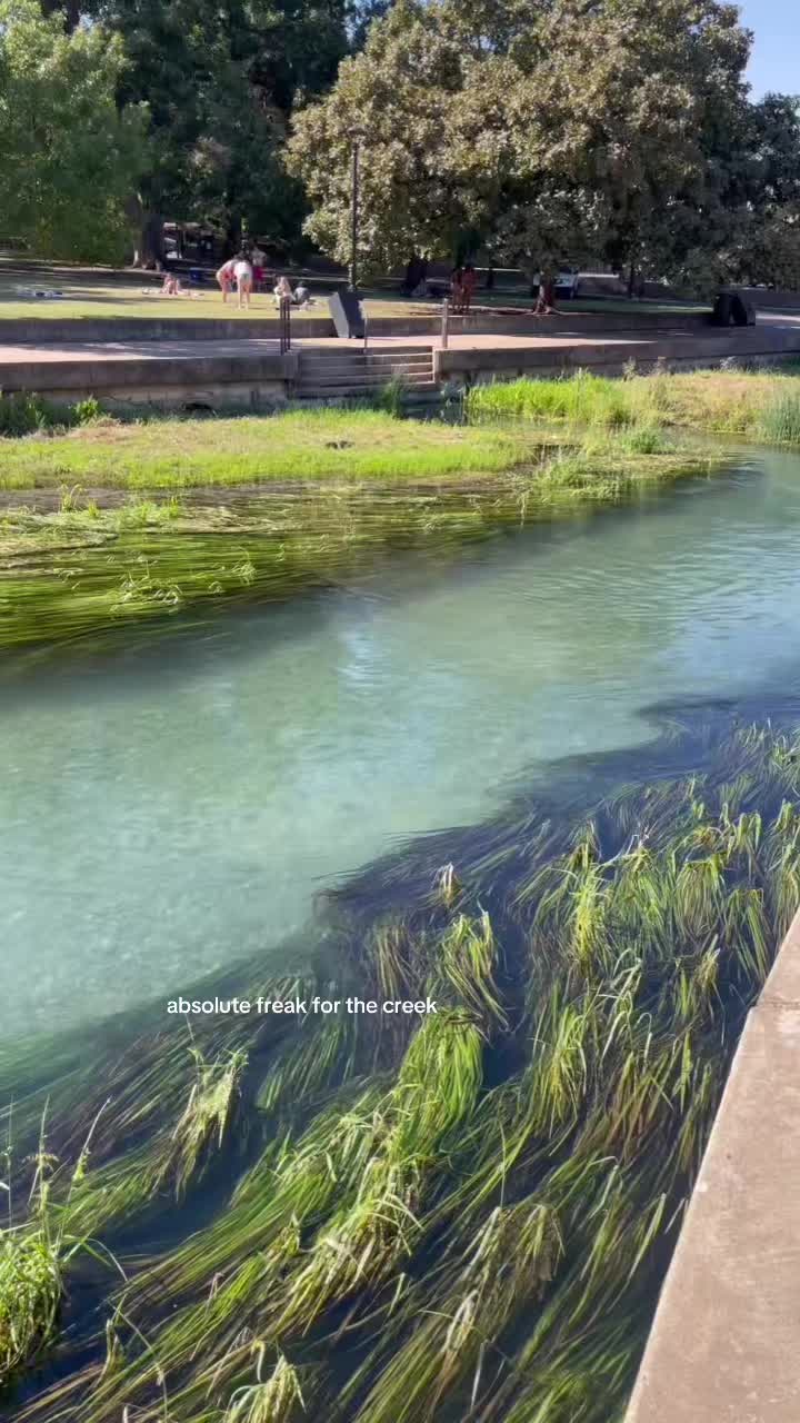 @chiara𓆝 𓆟 𓆞